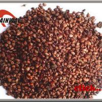 Large picture Grape Seed Extract powder