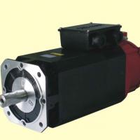 Large picture AC Spindle Motor (CTB Series)