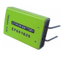 Large picture EF651625Lithium Thionyl Chloride batteries