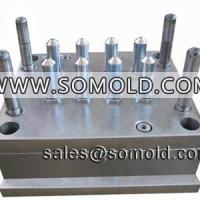 Large picture plastic test tube mould