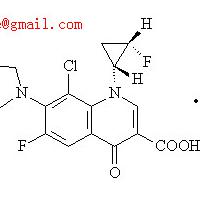Large picture Sitafloxacin Hydrate
