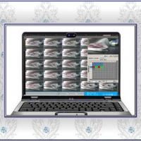 Large picture Poker Suit Scanning Software