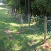 Large picture Field Fence