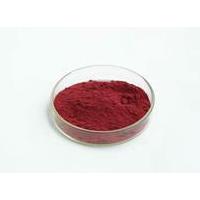 Large picture Bilberry Extract-hot