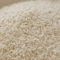Large picture Vietnam Jasmine Rice and Vietnam Glutinous Rice