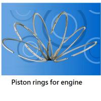 Large picture piston rings for engine