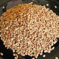 Large picture Fenugreek Extract 95% 4-&#65288;vanessa@nutra-max.com&#65289;