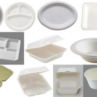Large picture biodegradable  tableware