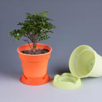 Large picture Biodegradable plant pot