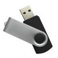 Large picture usb flash drive