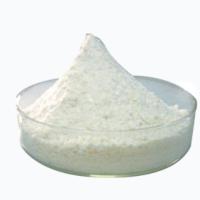 Large picture Progesterone Carboxylic Acid 302-97-6