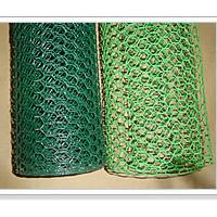 Large picture Hexagonal Wire Netting