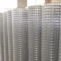 Large picture Stainless Steel Welded Wire Mesh