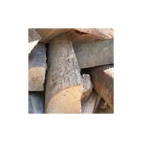 Large picture Firewood Logs