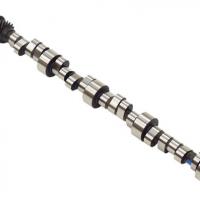 Large picture camshaft