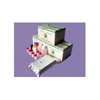Large picture Porcine Toxoplasmosis IgG Antibody ELISATest Kit