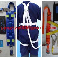 Large picture safety belts