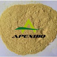 Large picture Silymarin Extract Powder