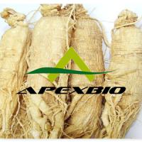 Large picture Ginseng Extract