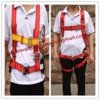 Large picture China safety belts,best factory Fall protection