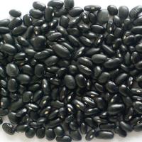 Black Kidney Beans-(Kernels in white)