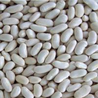 White Beans/ Chinese dried beans