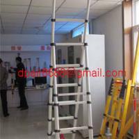 Large picture Aluminium Telescopic ladder