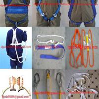Large picture safety harness &safety belt &safety webbing