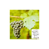 Large picture Grape Seed extract