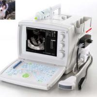 Large picture Veterinary Digital Ultrasound Scanner