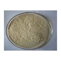 Large picture Gynostemma Extract