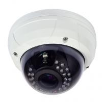 Large picture Innov 2Mp Network Vandal-proof IR Dome Camera