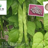 Large picture Kidney Bean Extract