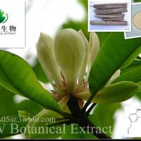 Large picture Magnolia officinalis