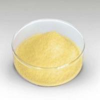 Large picture Trenbolone Hexahydrobenzyl Carbonate 23454-33-3