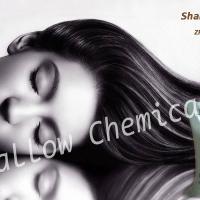 Large picture Zinc Carbonate for Shampoo ZPT Supplement