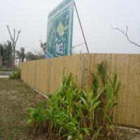 Large picture vietnam natural bamboo fences