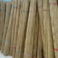 vietnam bamboo poles good quality