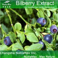 Large picture Bilberry P.E. 25% Anthocyanidins