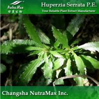 Large picture Huperzine Serrate Extract