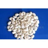 Large picture White Kidney Bean Extract