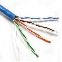 Large picture CAT6 network cable