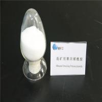 Large picture anionic polyacrylmide for mineral processing