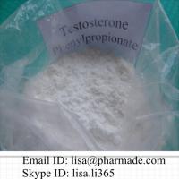 Large picture Testosterone Phenylpropionate