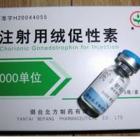 Large picture Human Chorionic Gonadotropin(HCG)