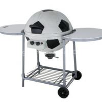 Outdoor BBQ Gas Grill