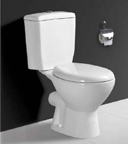 two piece toilet