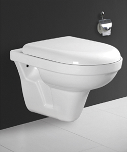 wall hung toilet