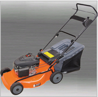 gasoline lawnmower
