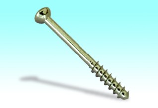 Cancellous Screw
